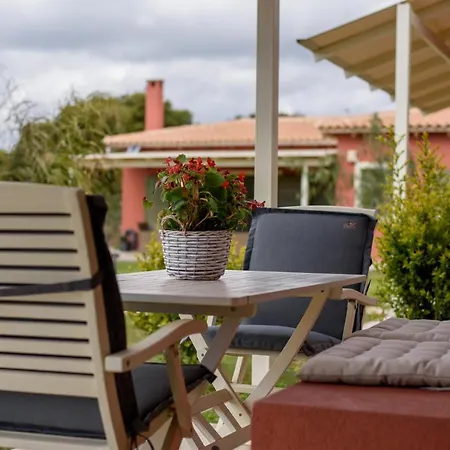 Comfeto & Mandolato Sweet *